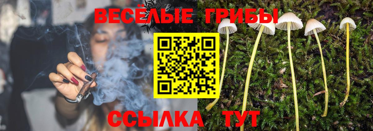 Галлюциногенные грибы ЛСД  Псилоцибиновые грибы MAGIC MUSHROOMS  Вход с VPN  Сергиев Посад 
